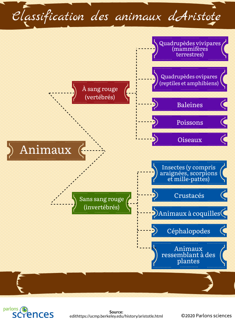 Classification des animaux d’Aristote