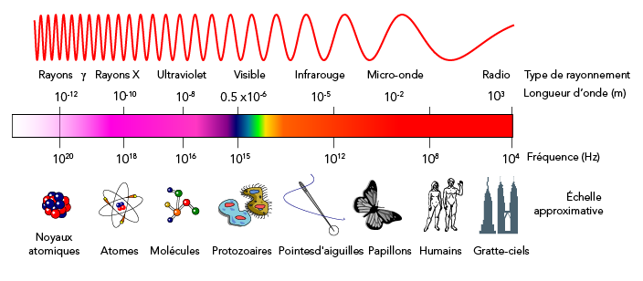 Spectre des ondes électromagnétiques. Les rayons gamma à haute énergie sont à l'extrême gauche et les ondes radio à faible énergie sont à l'extrême droite 
