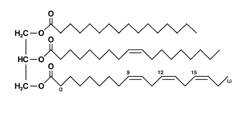 Example of a triglyceride