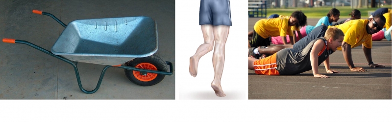 Second class levers are used in wheelbarrows (left), when going on tiptoes (centre) and when doing push-ups