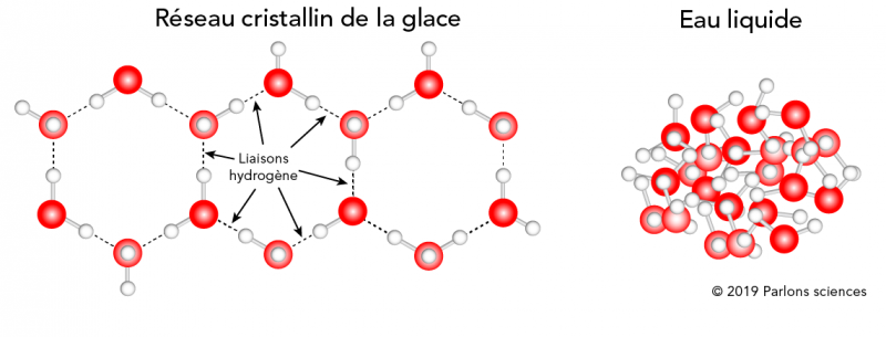 Disposition moléculaire des molécules d’eau dans la glace et dans l’eau liquide