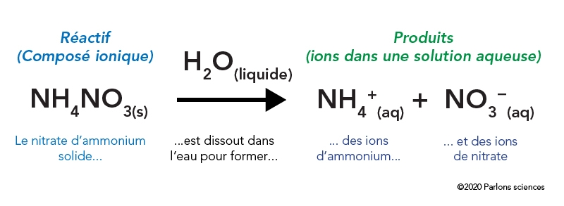 Dissociation chimique du nitrate d’ammonium solide dans l’eau pour former de l’ammonium aqueux et du nitrate aqueux.
