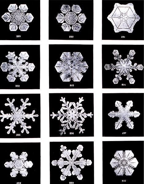 Photos of snowflakes/Photographies de flocons de Wilson Alwyn Bentley