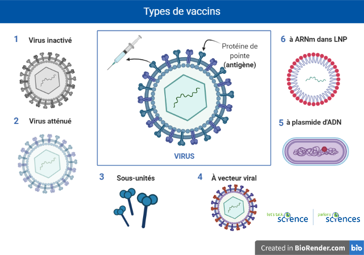Six différents types de vaccins