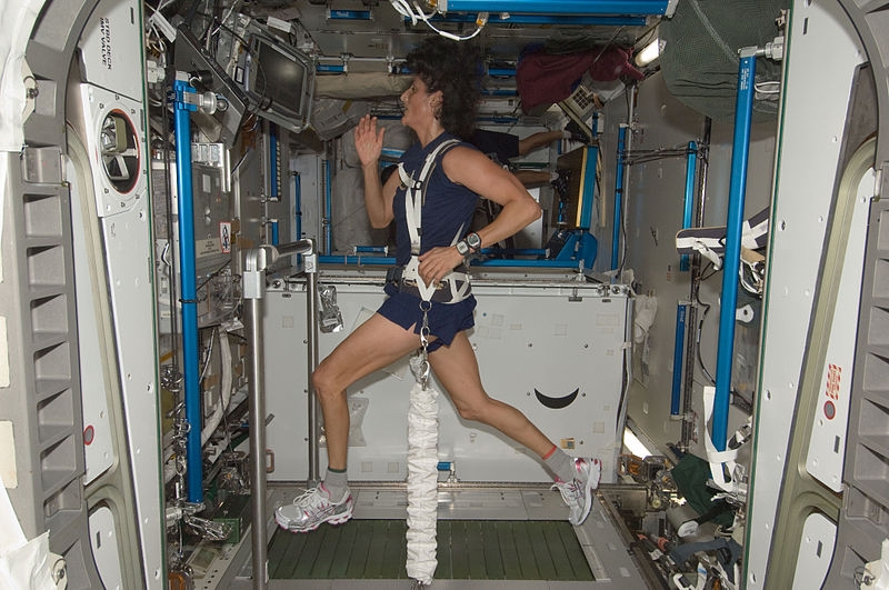 Flight Engineer Sumita Williams exercises on a treadmill
