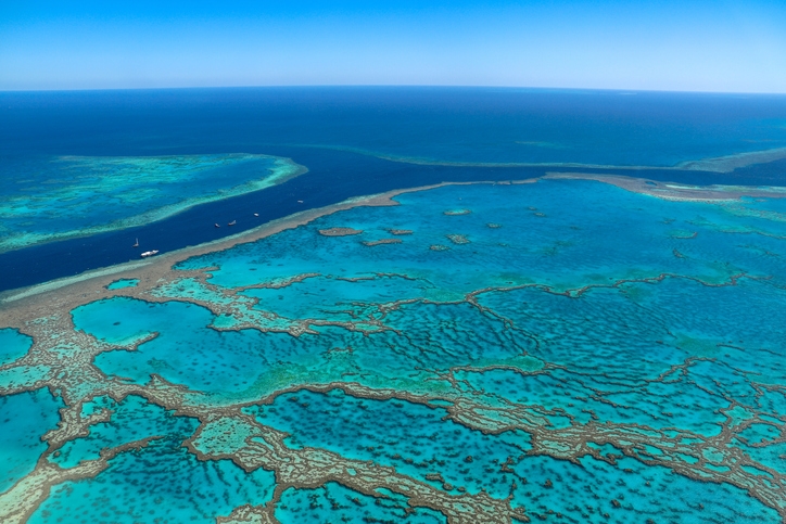 Section of the Great Barrier Reef