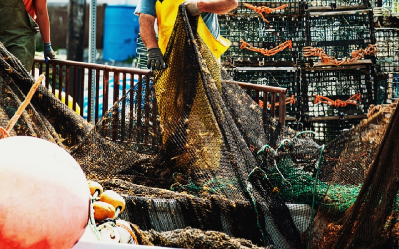 Des pêcheurs tirent un filet de pêche depuis le pont d’un chalutier