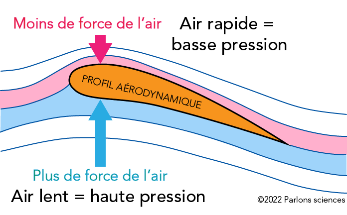 Flux et pression de l’air au-dessus et au-dessous d’un profil aérodynamique
