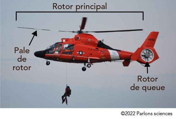 Emplacements des pales de rotor, du rotor principal et du rotor de queue sur un hélicoptère