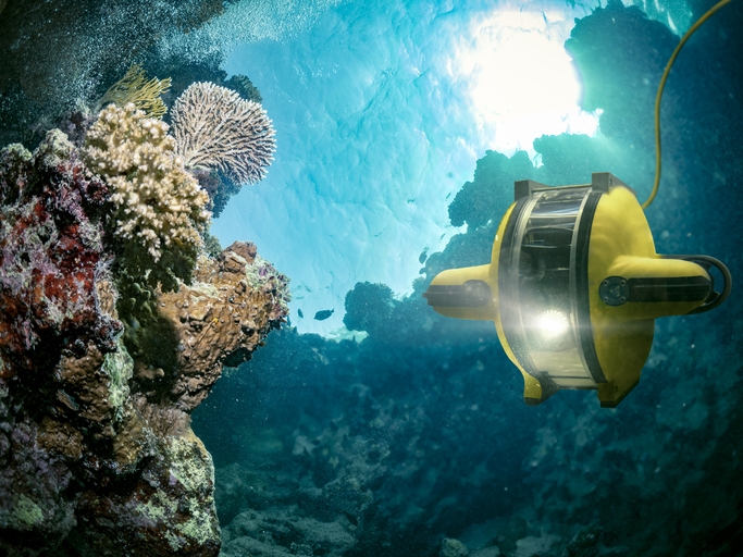 Remotely controlled uncrewed vehicle near a coral reef