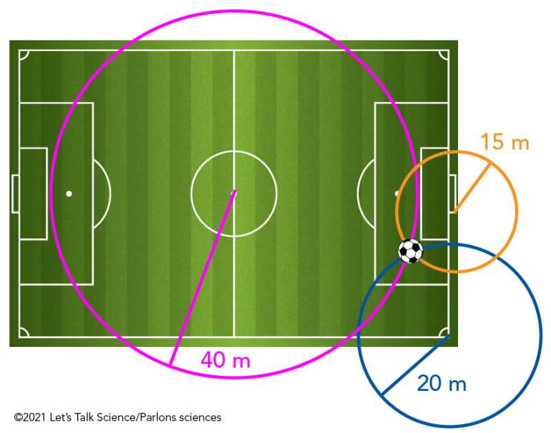Un terrain de soccer sur lequel des cercles dont les rayons mesurent 20, 40 et 15 mètres sont dessinés