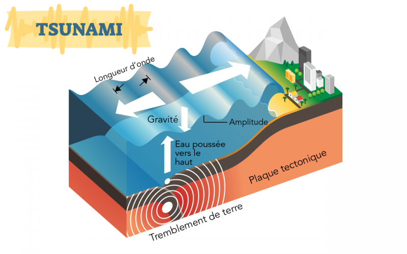 Diagramme montrant les processus, les formes de relief et l’eau océanique qui provoquent la formation d’un tsunami 
