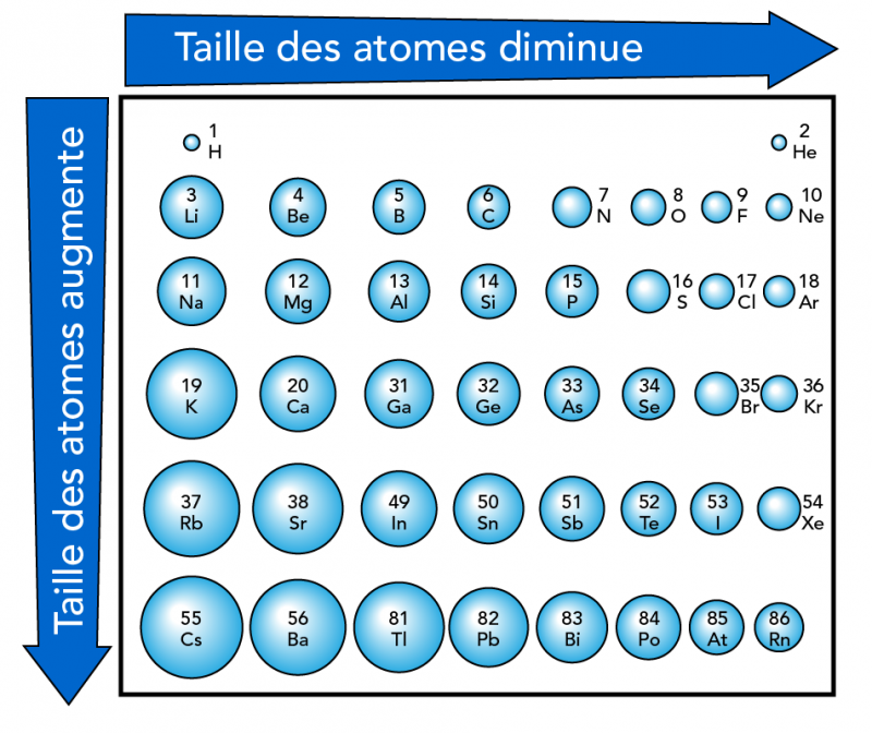 Tailles relatives des atomes