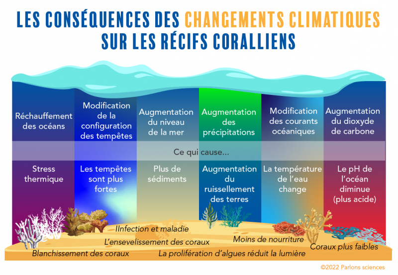 Les conséquences des changements climatiques sur les récifs de corail