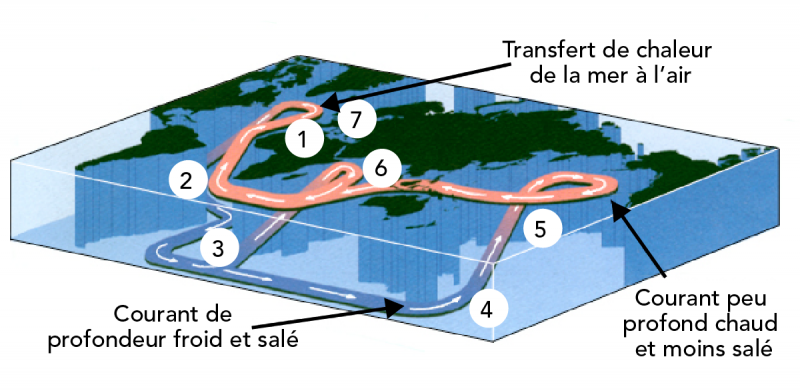 Trajet du mouvement des courants océaniques