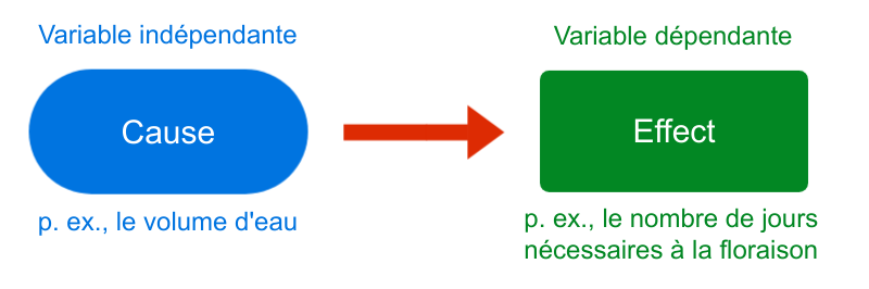 Relation entre une variable indépendante et une variable dépendante