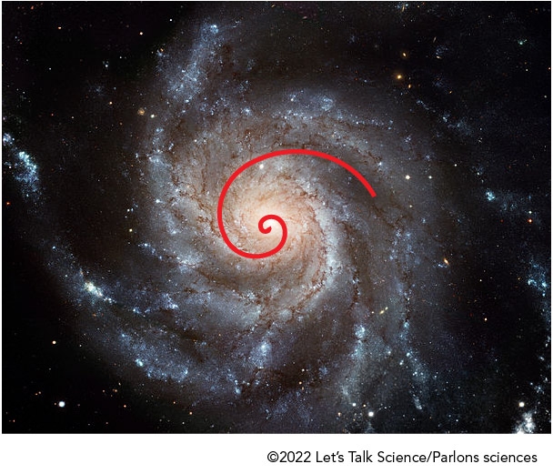 Spirale de Fibonacci sur la galaxie Messier 101 surnommée la galaxie du Moulinet.