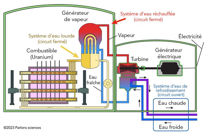Illustration couleur d’un diagramme montrant comment le combustible, l’eau et la vapeur se déplacent dans un réacteur nucléaire.