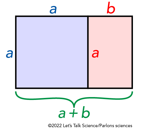 Shown is a colour diagram of a rectangle divided into a pale purple square and a smaller pink rectangle.