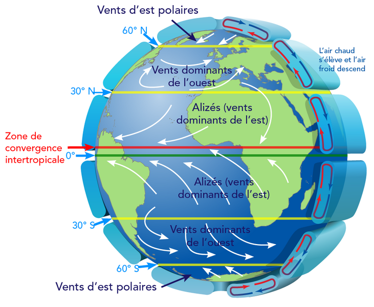 Voici une illustration en couleur de la Terre qui montre les latitudes et les vents dominants.