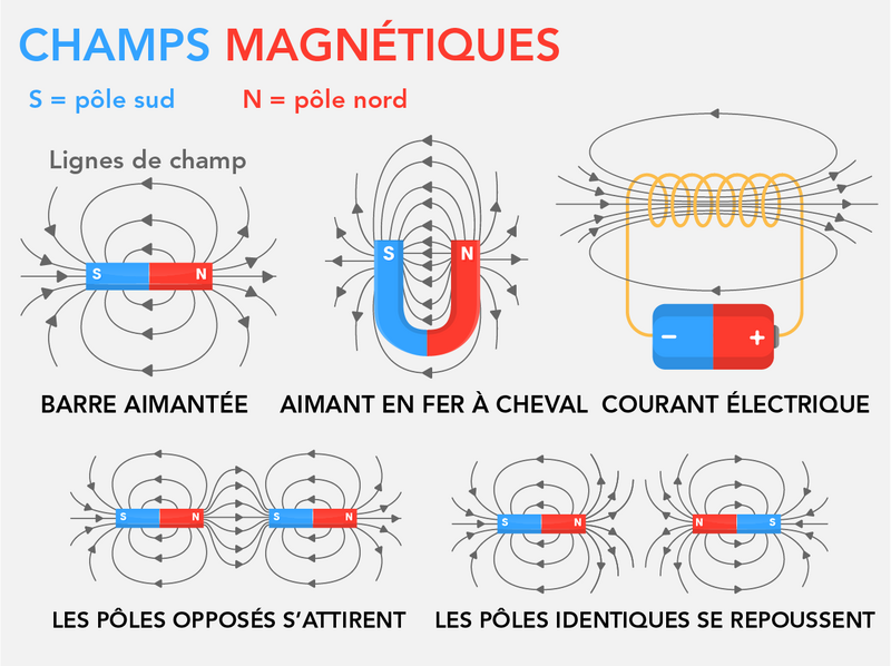 Voici cinq illustrations en couleur de champs magnétiques autour de différents types d’aimants.