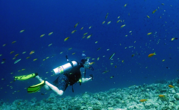 Faire de la plongée sous-marine