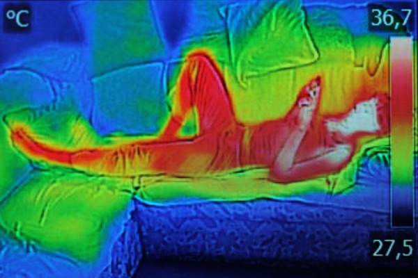 Image thermique d’une femme sur un canapé. Les parties blanches sont les plus chaudes, et les parties noires, les plus froides. On remarque de la chaleur qui irradie du corps au canapé. 