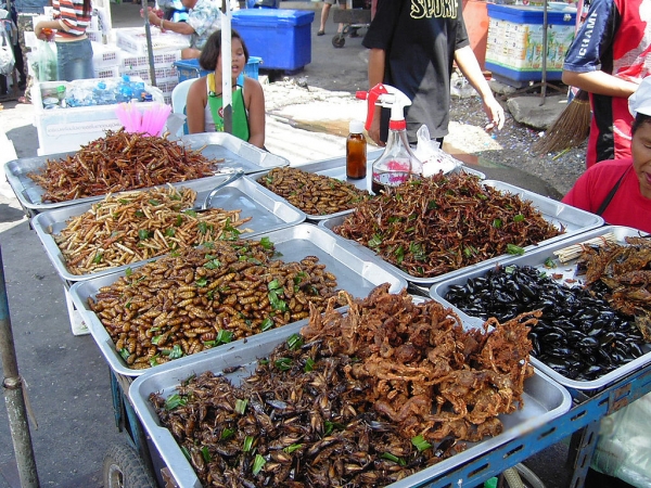 Étal d’insectes en Thaïlande