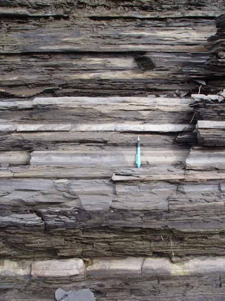Formation de schiste d’Utica près de la ville de Donnacona, au Québec. Les strates (couches) foncées sont faites d’argile, et les strates claires, de calcaire. Le stylo sert à indiquer l’échelle