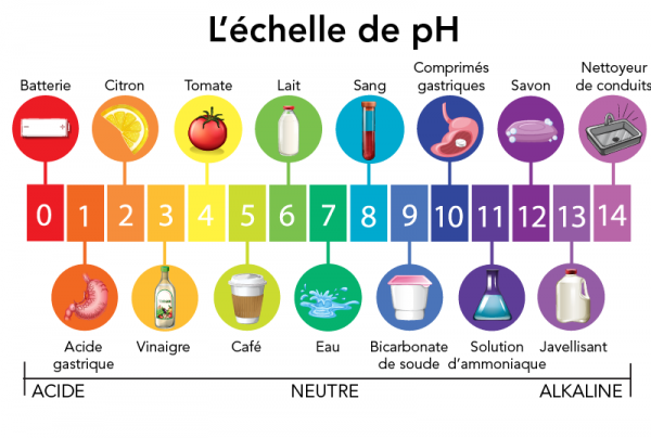 Échelle de mesure du pH avec des exemples