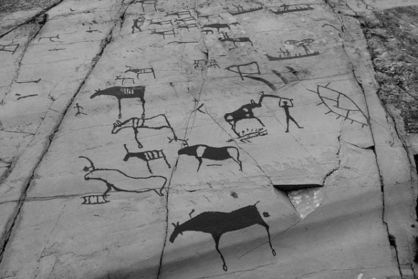Rock drawings of humans hunting reindeer