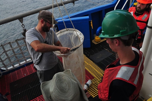 Des membres du personnel de la United States Environmental Protection Agency préparent un filet à plancton 