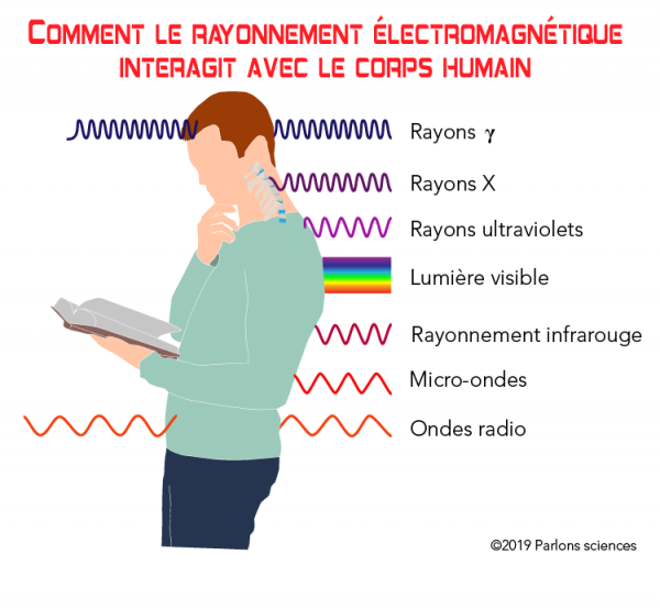 Comment le rayonnement électromagnétique interagit avec le corps humain