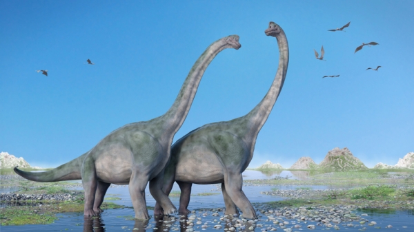 Brachiosaure