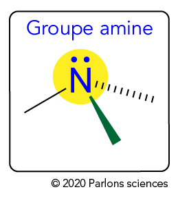 Structure d’un groupe amine