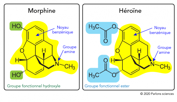 Structures chimiques de la morphine et de l’héroïne