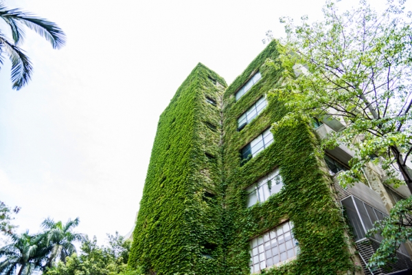 Façade végétalisée d’un immeuble d’habitations