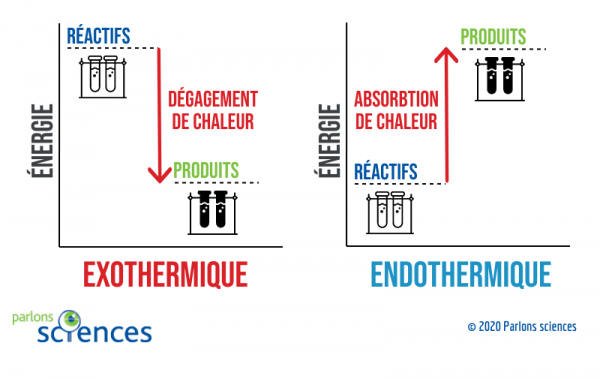 Diagrammes énergétiques généraux des réactions exothermiques et endothermiques.