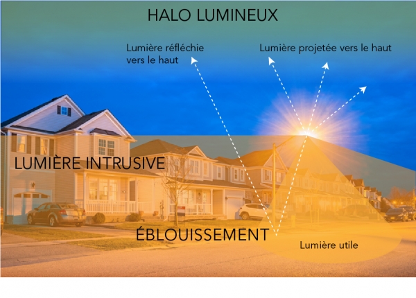 Image d’un quartier de banlieue présentant des exemples de halos lumineux, d’éblouissement et de lumière intrusive