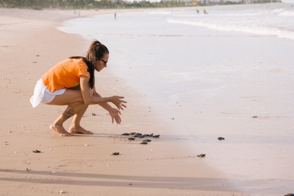 La libération de bébés tortues marines près de l’océan par une bénévole d’un organisme de conservation