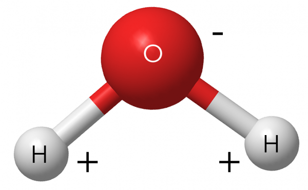 Molécule d’eau illustrant la polarité