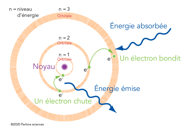 Modèle de Bohr qui montre un électron qui saute à un niveau d’énergie supérieure et qui chute à un niveau d’énergie inférieur