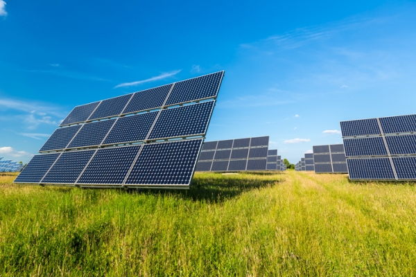 Solar panels standing in a field