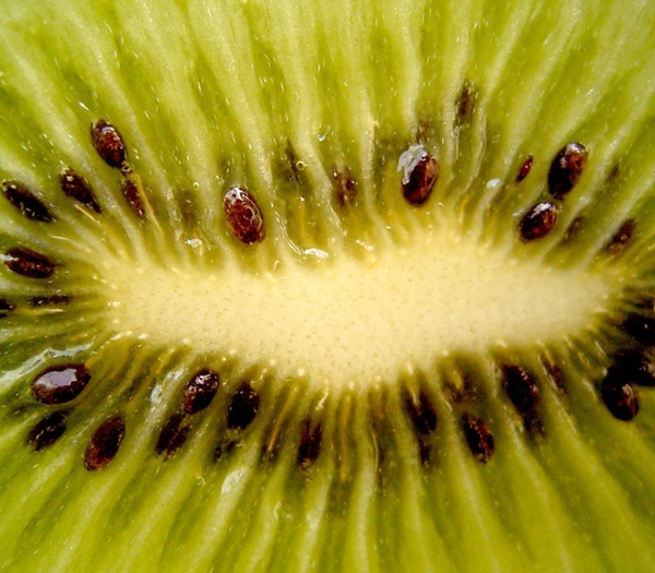 Pépins de kiwi