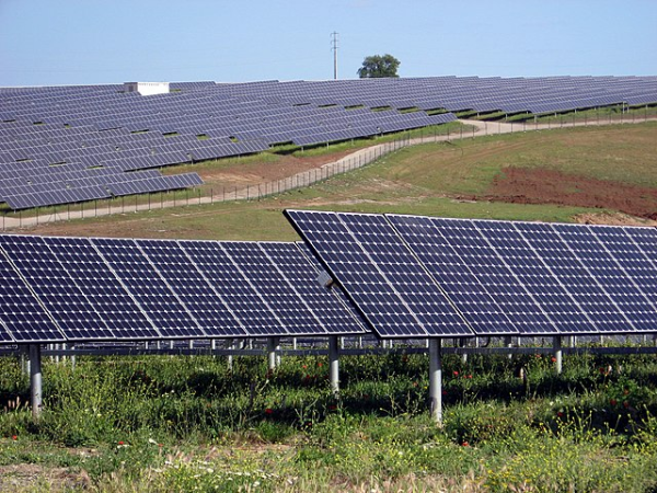 Shown is a colour photograph of many long rows of flat solar panels, angled up to the sky.